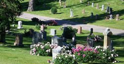 Garden of Memories